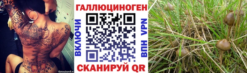 Псилоцибиновые грибы ЛСД  Новое Девяткино 